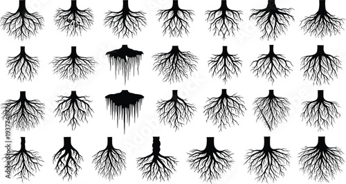 Tree root system silhouette set with various underground plant structures for botanical education environmental growth foundation and nature conservation projects