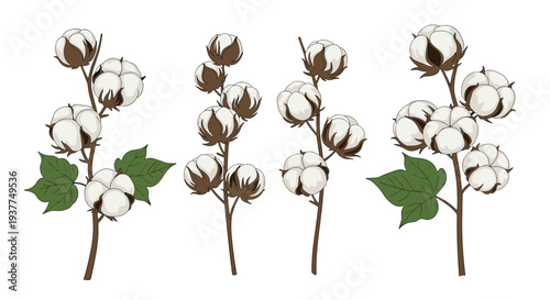 Four realistic cotton branches with soft white bolls and green leaves arranged in a horizontal row on a plain white backdrop for nature designs.