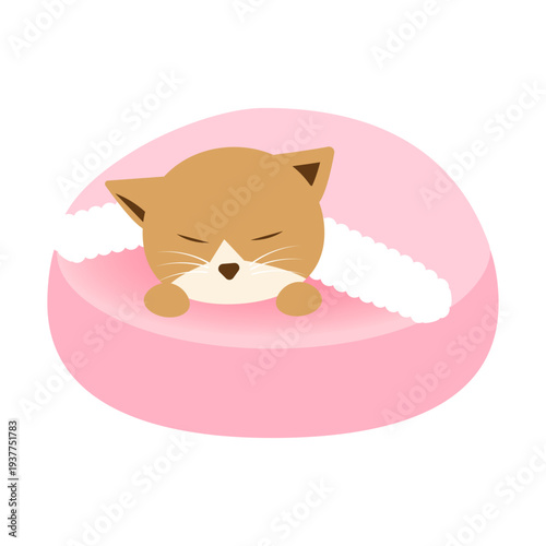 ペットベッドで眠る猫のかわいいイラスト
