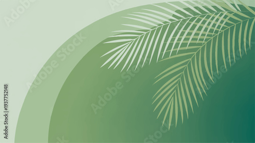 Palm frond silhouette against gradient green background tropical leaf texture