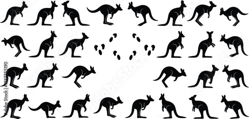 Collection of Black Kangaroo Silhouettes in Various Poses on White Background animal marsupial