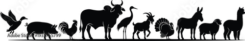 Black, farm, animal, silhouettes, set, including, cow, pig, goat, sheep, donkey, duck, rooster, turkey, alpaca, crane, isolated, on, white, background, vector, illustration.
