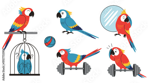 Variety of colorful parrots are shown in different activities such as sitting in a cage, looking in a mirror, and lifting weights.