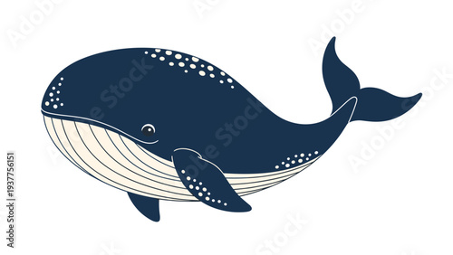 Large blue whale swimming peacefully in the deep ocean, illustrated in a clean and simple vector style for nature and marine life themes.