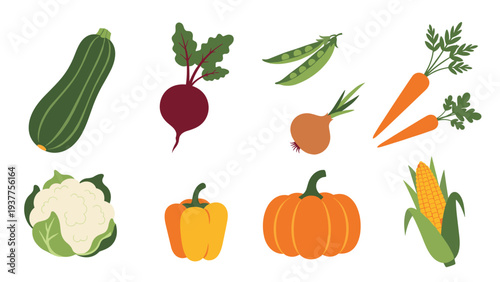 Collection of various fresh and healthy vegetables including a pumpkin, corn, carrot, and bell pepper, perfect for cooking and diet themes.