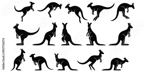 Group of black kangaroo silhouettes displaying different actions and stances on white marsupial animal