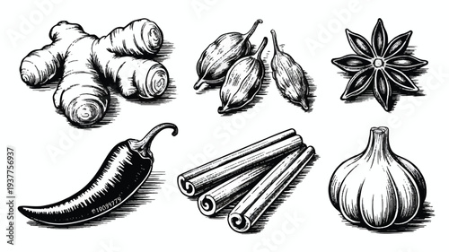 Spice and herb ingredients for cooking and baking on white background