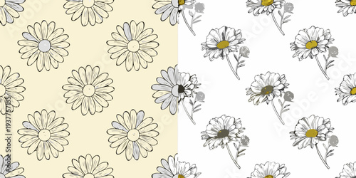 Floral pattern featuring sketched daisies in contrasting color schemes
