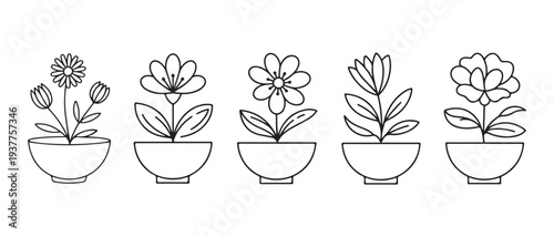 Line Art Potted Flower Illustrations. Simple botanical drawings in minimalist design, perfect for branding, decor, and creative projects.