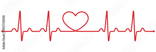 Heartbeat, line icon featuring ECG and cardiology pulse symbol, medical health monitoring concept, vital sign indicator, clean modern flat vector