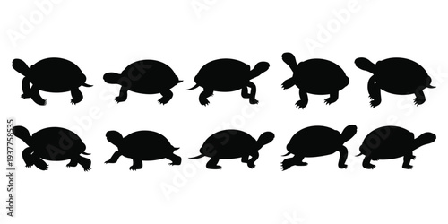 Ten Black Silhouette Tortoises in Two Rows on White Background turtle animal
