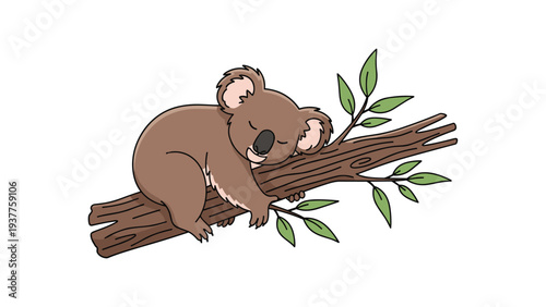 Adorable koala sleeps peacefully while clinging to a brown tree branch with green leaves against a white background.
