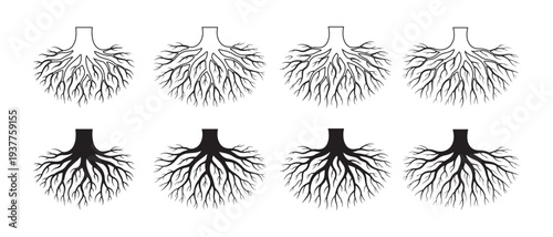 Root System Icons Set. Outline and Silhouette Illustrations of Complex Branching Structures.