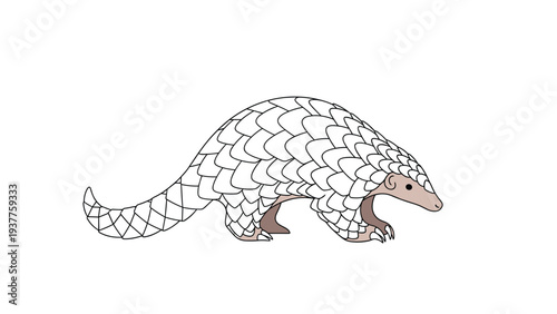 Detailed illustration of a pangolin also known as a scaly anteater walking on its large claws across a plain white background.