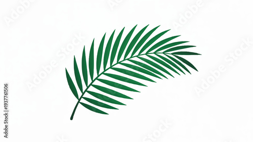 Single green palm leaf on white background symbolizing nature and tropical environments perfect for eco friendly designs