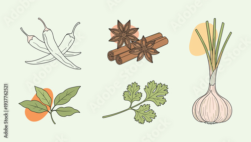 Kitchen spices and fresh herbs collection including chili peppers, cinnamon sticks, star anise, garlic, and green cilantro.