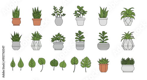 Collection of Potted Houseplants and Leaves - Flat Design Vector Illustration