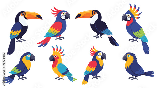 Colorful tropical birds including majestic toucans and vibrant parrots with different feather patterns on white background.