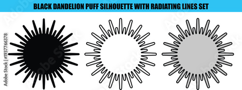Black dandelion puff silhouettes with radiating lines