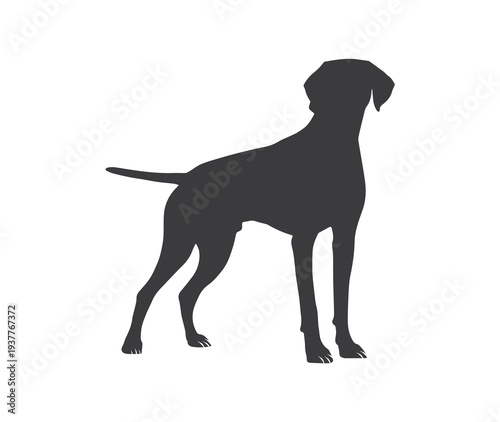pointer dog graphic design, duck hunting pointer dog vector illustration art