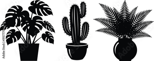 Black silhouette potted plants including monstera, cactus, and fern designs symbolizing houseplants, decoration, nature, and botanical illustration