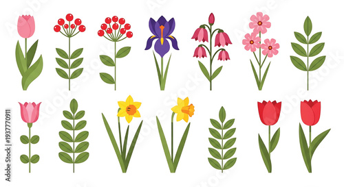 Collection of flat design spring flowers and branches with vibrant colors, featuring tulips, daffodils, irises, and berries.