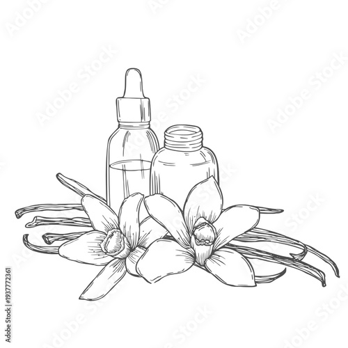 Vanilla Essential Oil with flowers and sticks. Hand drawn vector illustration of vintage transparent Bottle for aroma therapy on white isolated background.