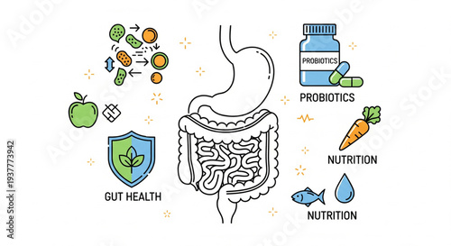 Illustration of digestive system with gut health icons and nutrition symbols surrounding it from various viewpoints