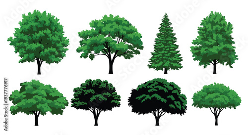Collection of various green trees and silhouettes on a white background
