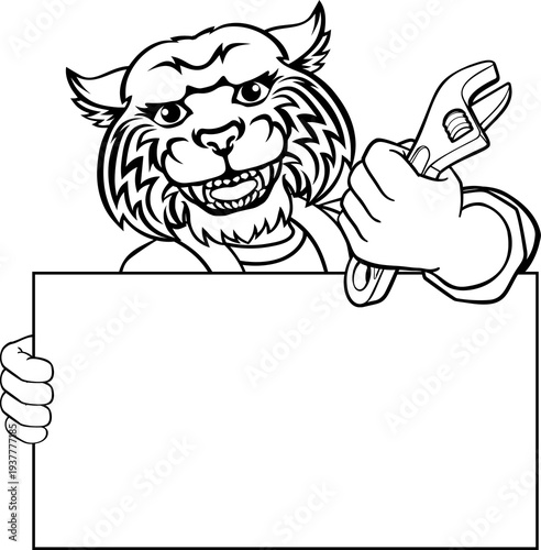 A wildcat, cougar or bobcat...