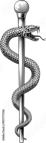 Rod of Asclepius staff medi...