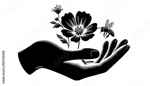 hands holding a flower