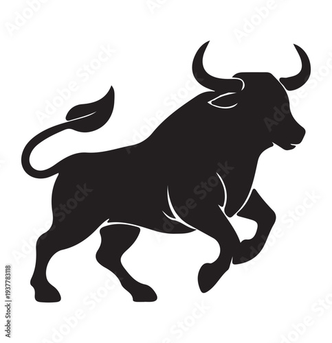 Sunset Plains Bull.e