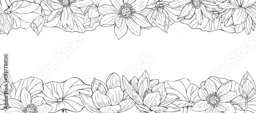 Blooming lotus flowers vector isolated horizontal border in monochrome style. Water lilies, leaves, buds rectangle frame, empty space for text. For invitation, greeting card, wellness website