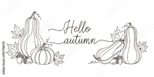 Pumpkins, gourds, acorns and leaves in line art style on white background, symbolizing an autumn greeting and seasonal harvest