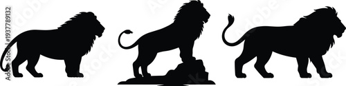 Silhouettes of lions in different poses, including standing, walking, and majestic stance on rock, representing strength, power, and wildlife design elements