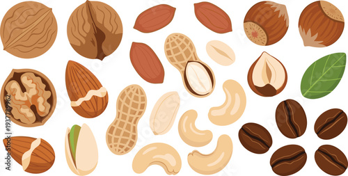 Assorted Nuts and Seeds Collection Featuring Walnuts, Cashews, Peanuts, Almonds, Coffee Beans, and More for Healthy Snack and Food Designs