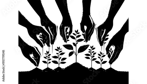 leopard on a black background