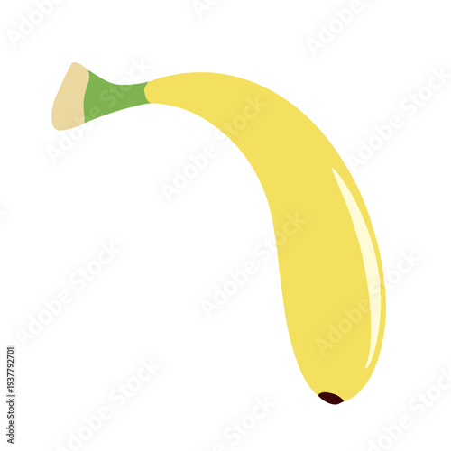 Illustration of a yellow banana, green stem, and creamy tip, against a white background
