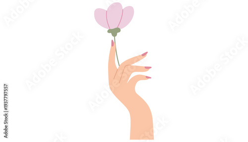 A hand holding a beautiful pink flower illustration vector