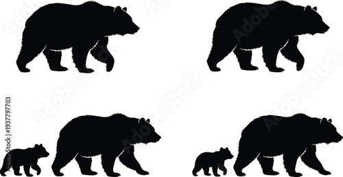Bear and cub silhouettes walking wildlife animals set isolated on white background forest mammal illustration design collection