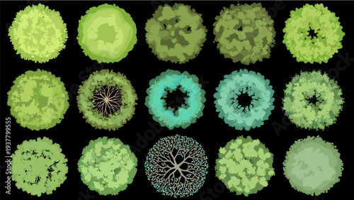 Set of trees, top view for landscape and architectural design, plan, vector illustration