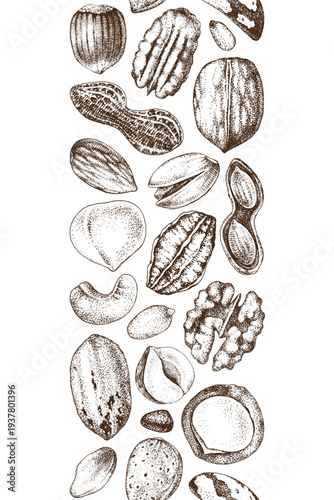 Nut mix hand sketched seamless border
