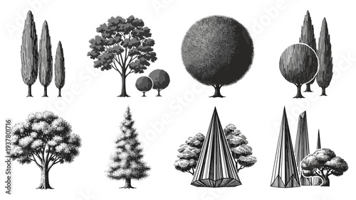 Set of monochrome tree silhouettes in various geometric and organic shapes for landscape illustration