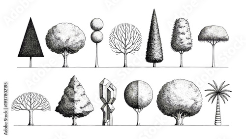 Artistic tree silhouettes in various geometric and organic shapes for landscape design and diagrams