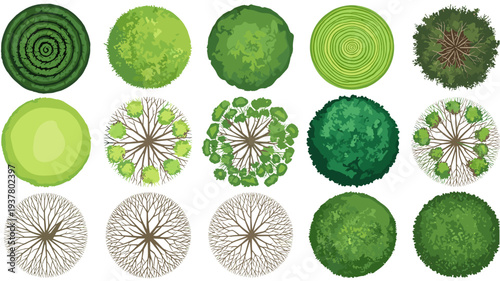 Collection stylized trees top view architectural plans and graphic design elements for landscape illustration