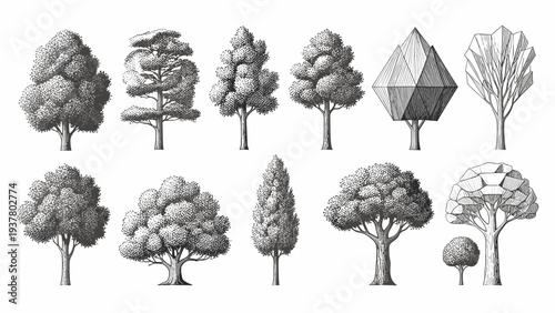 Set vintage hand drawn trees for architectural design landscape illustrations and graphic art projects