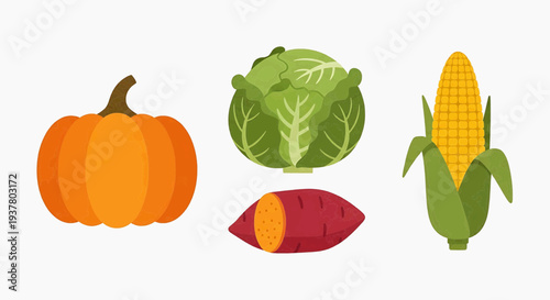 Assorted vegetables and fruits including pumpkin, cabbage, sweet potato, and corn on the cob in a simple illustration