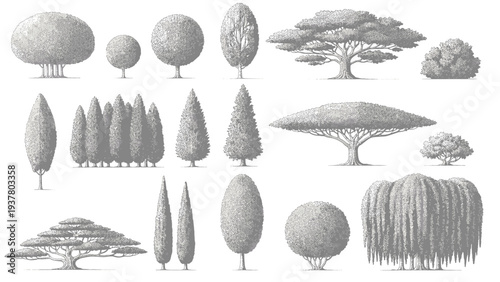 Set of black and white tree silhouettes for architectural and landscape design elements