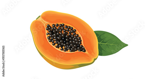 Fresh and juicy half of a ripe papaya fruit with black seeds and a green leaf, isolated on a white background vector.